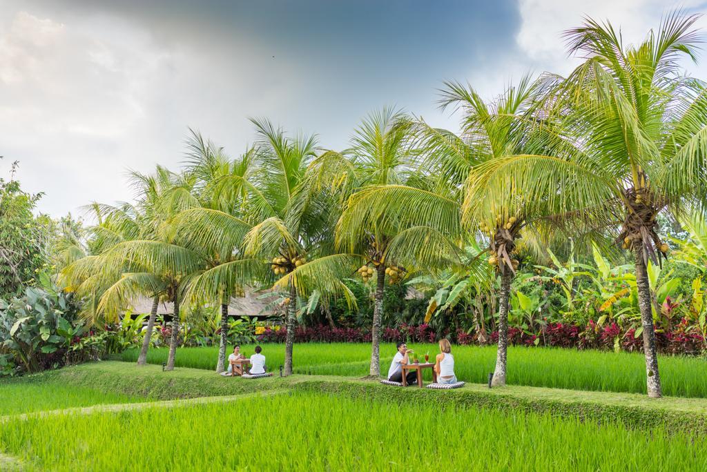 Bebek Tepi Sawah Restaurant & Villas Ubud  Exterior photo